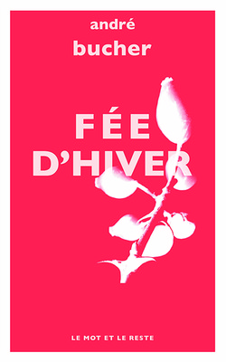 Fée d'hiver - poche